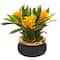 11" Bromeliad Artificial Plant in Stoneware Planter